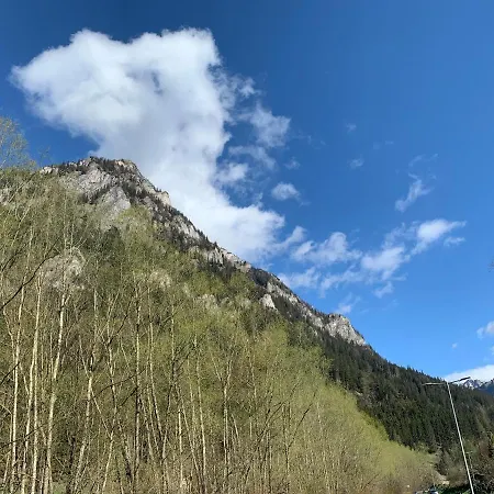 Daire Styrske Alpy *