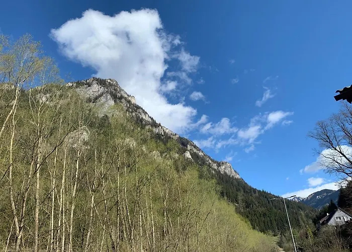 Lägenhet Styrske Alpy *