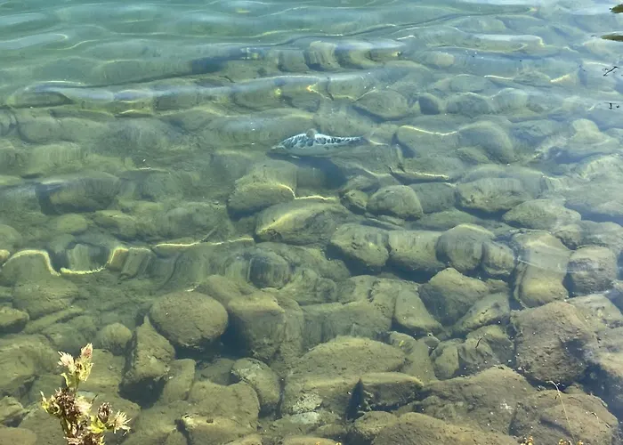 Apartment Styrske Alpy